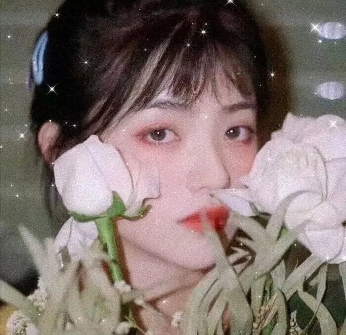 霹雳九皇座